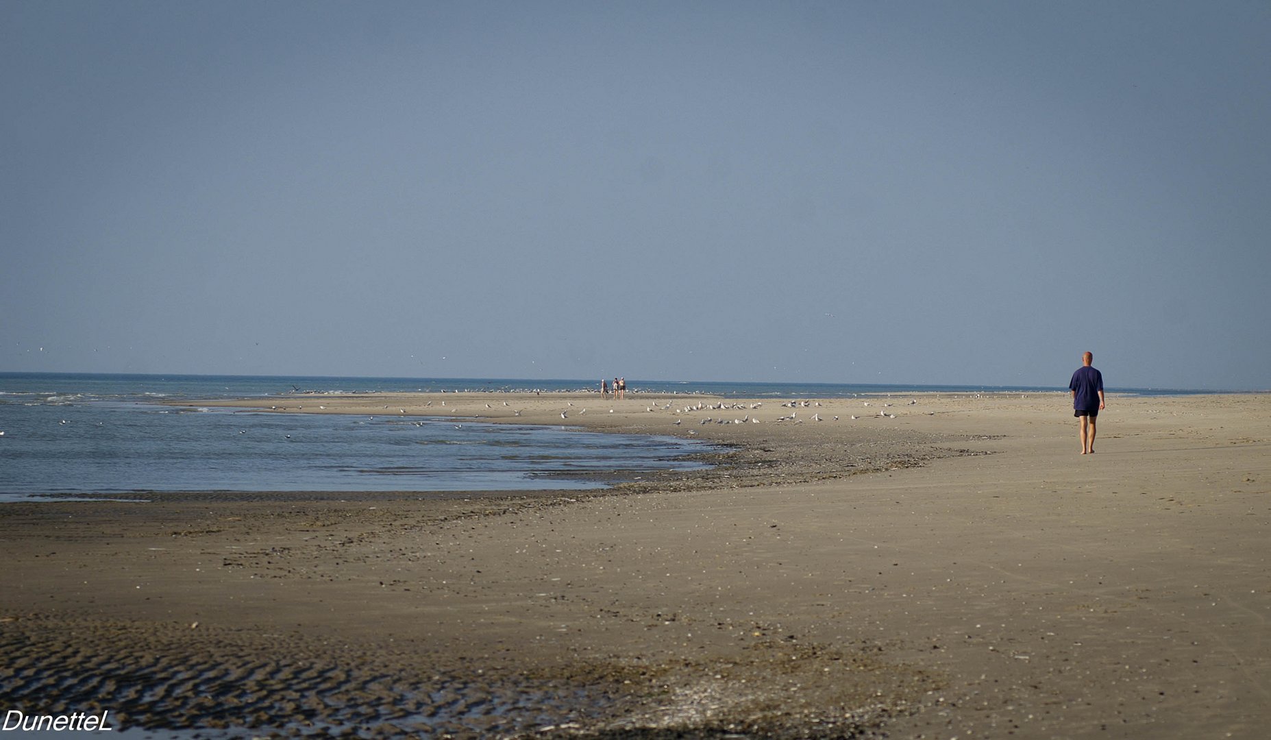 Il marche seul ...