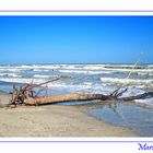 il mare a primavera