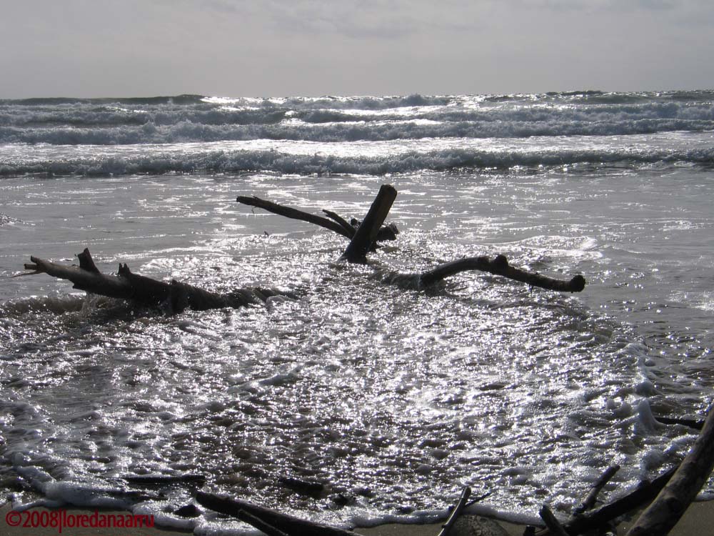 Il mare, che richiama tutto a sé...