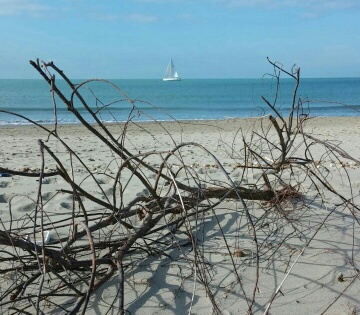 il mare d inverno....nostalgico e rilassante