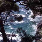 Il mare delle Cinque Terre