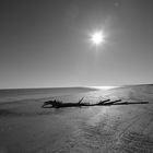 il mare di Fellini