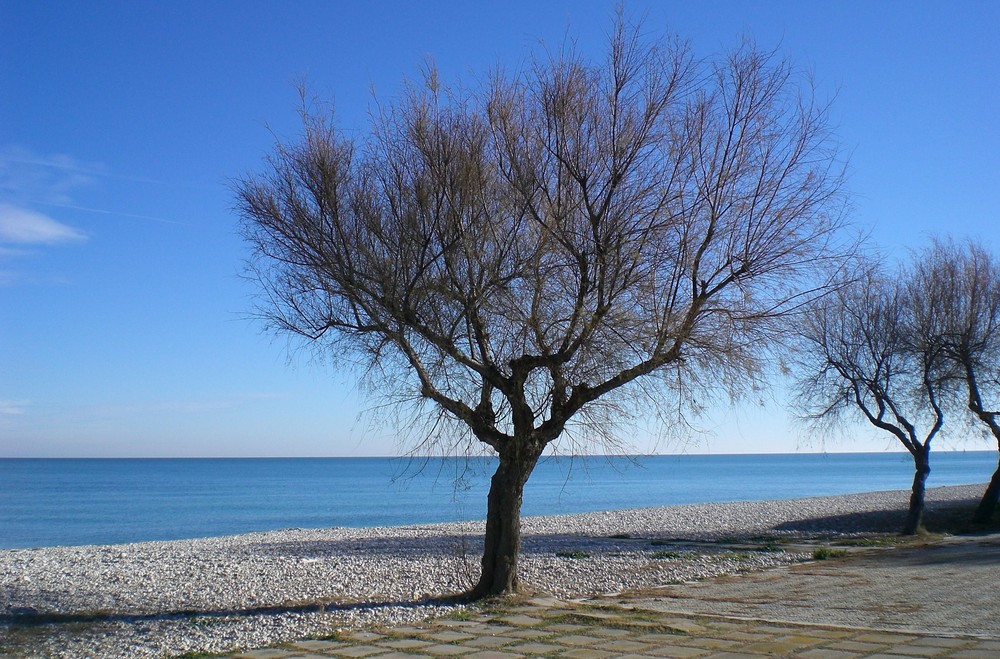 Il mare d'inverno