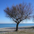 Il mare d'inverno