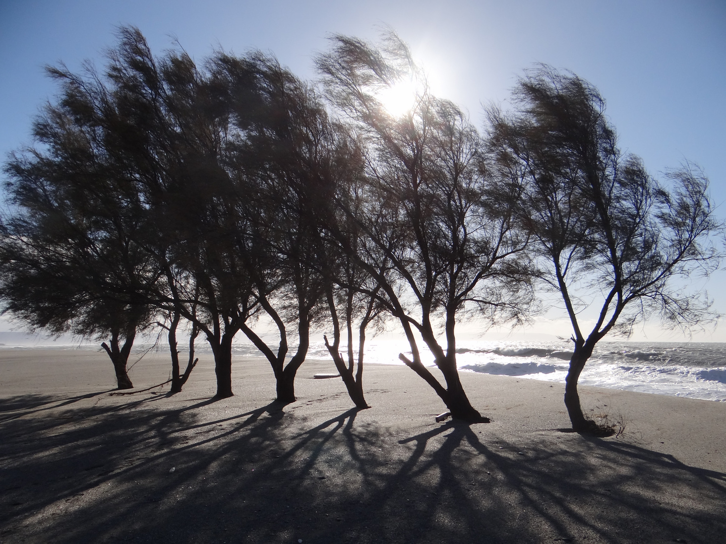 Il mare d'inverno