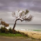 Il mare d'inverno