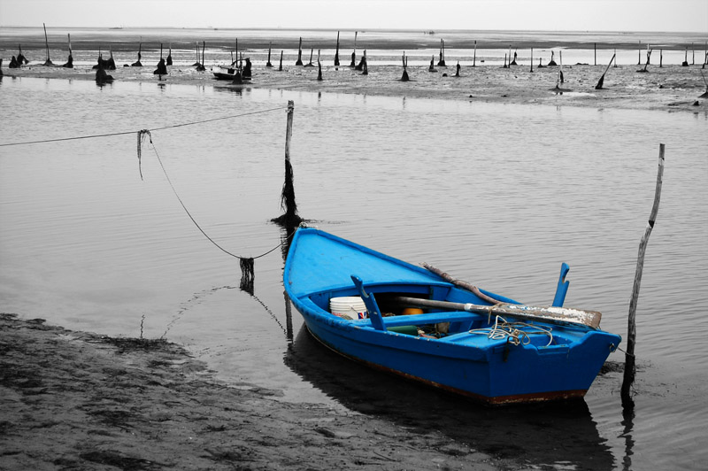 il mare d'inverno