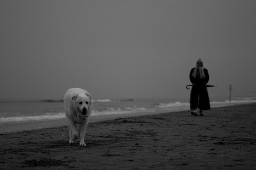 Il mare d'inverno