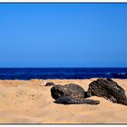 Il mare e la spiaggia