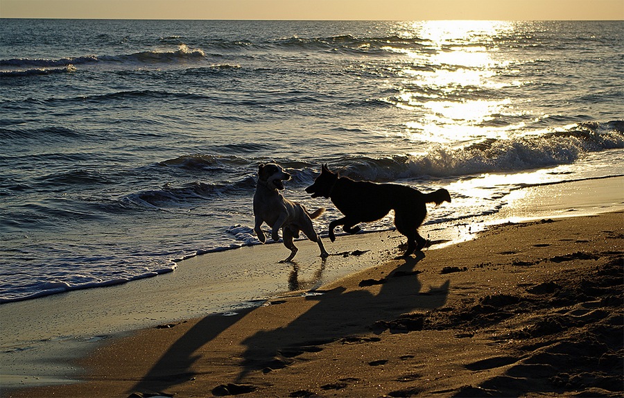 ...Il mare i giochi e le foto...