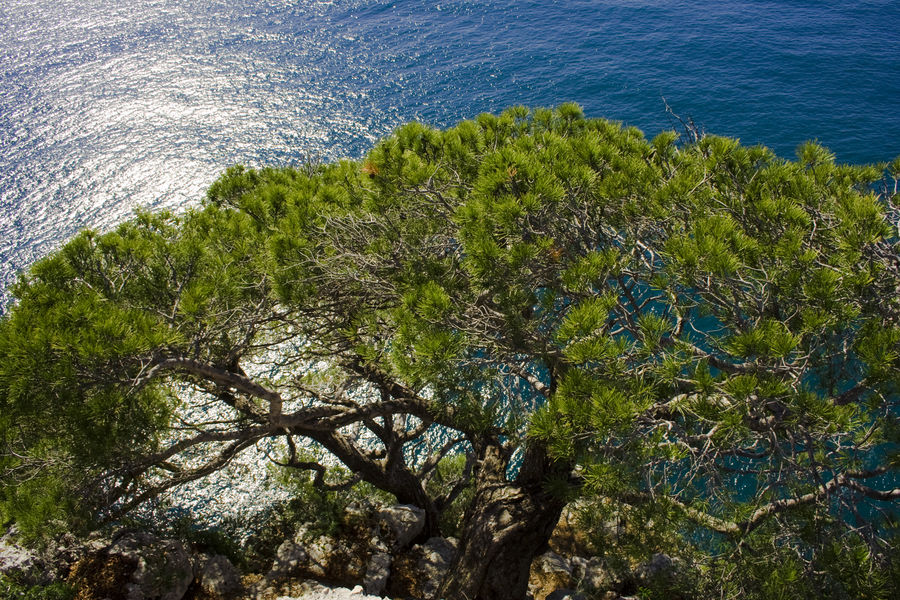 Il mare incontra la luce