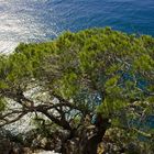 Il mare incontra la luce