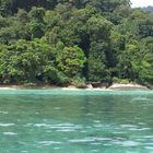 il mare, la spiaggia, la foresta