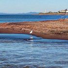 il mare oggi