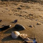 Il mare si riprende il suo spazio sulla spiaggia .....l'estate e finita.