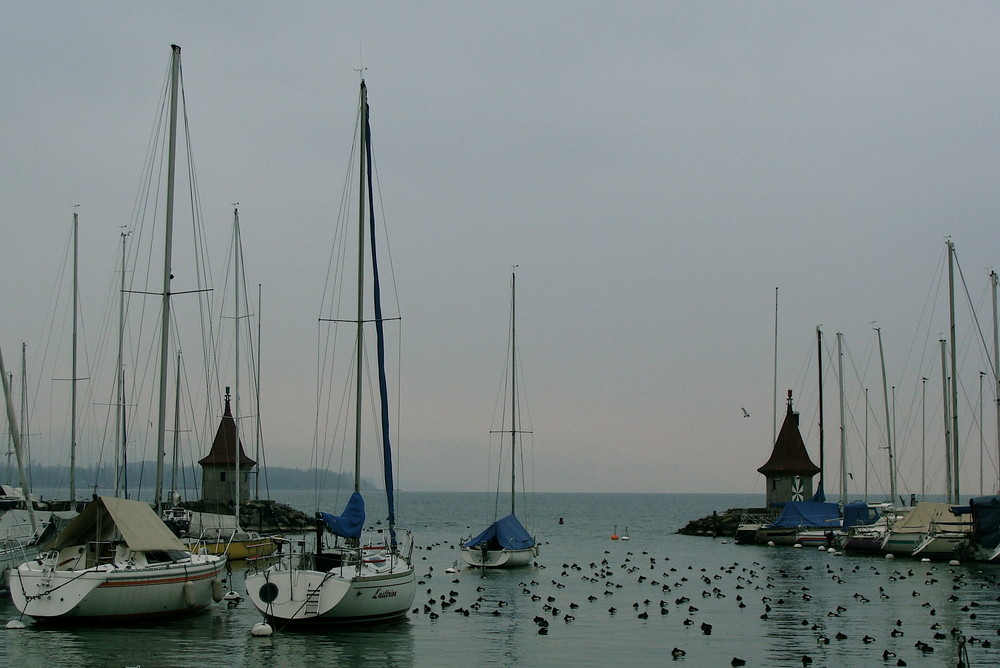 Il mattino d'inverno su lago Leman