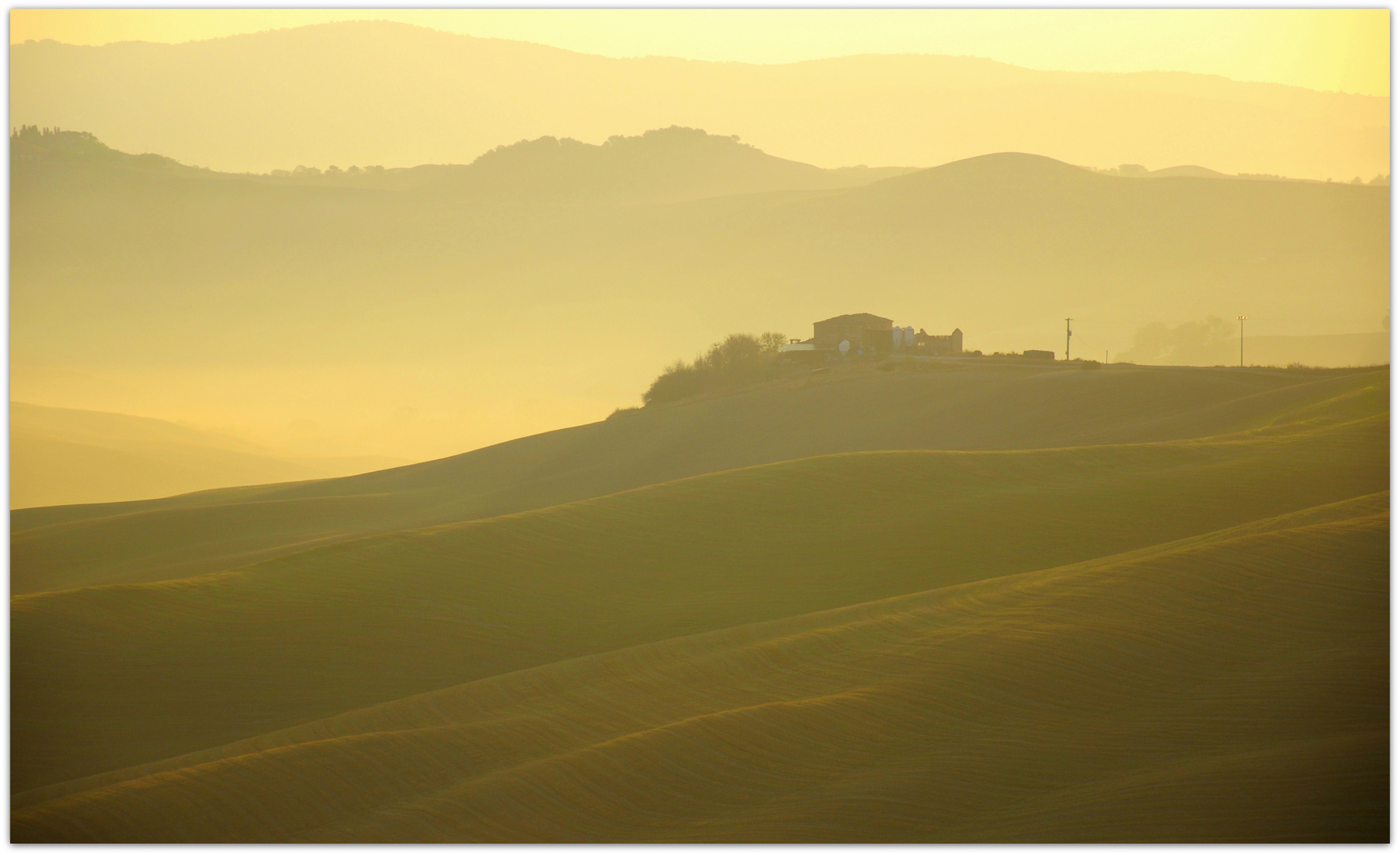 IL MATTINO HA L'ORO IN BOCCA