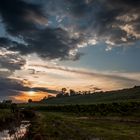 Il mattino ha l'oro in bocca - L'Alba