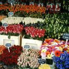 il mercato dei fiori.......