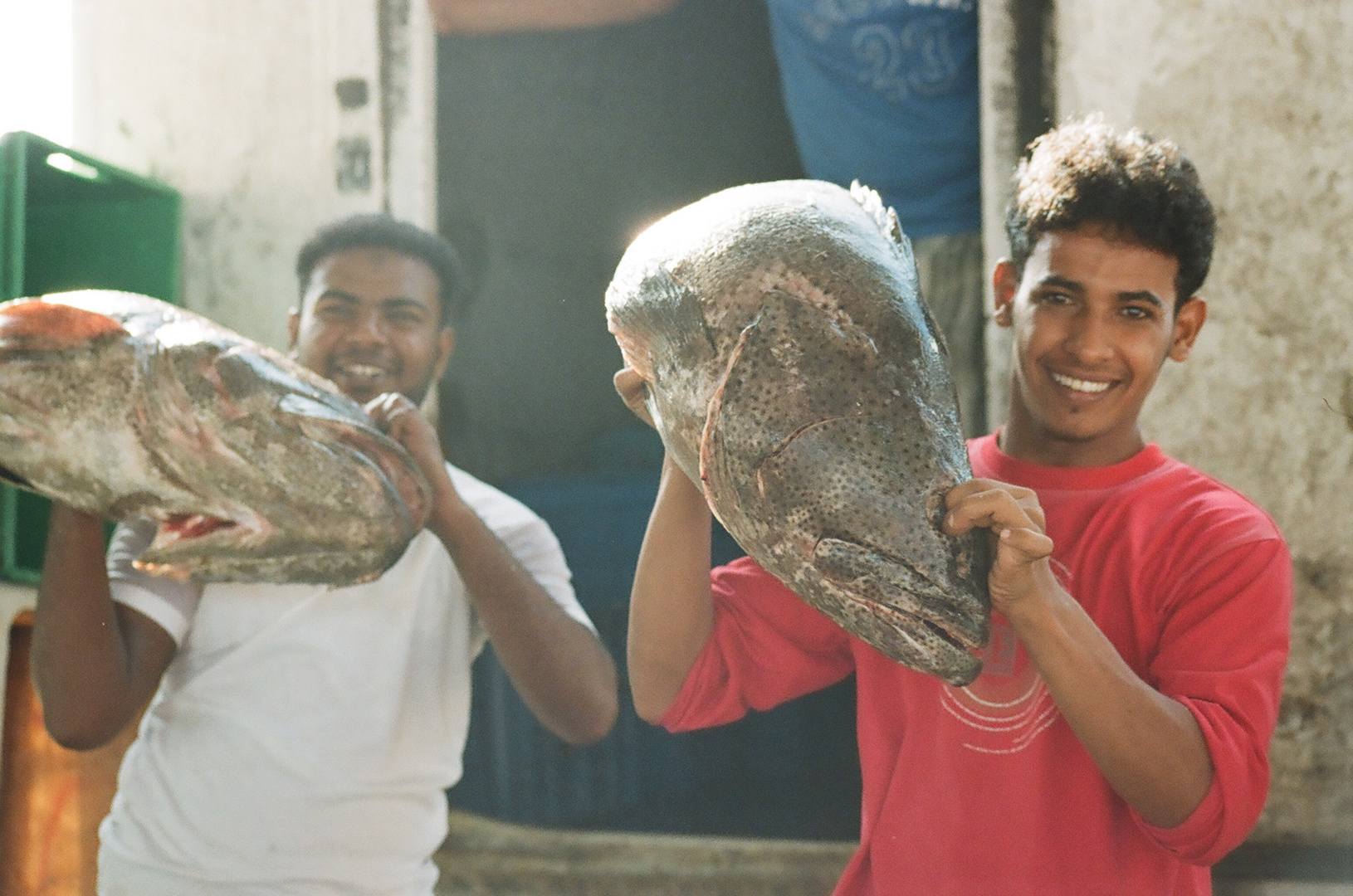 Il mercato del pesce di Hodeidah(Yemen)