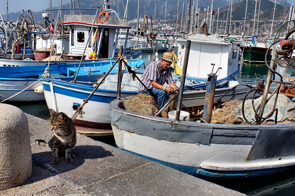 Il micio ed il Pescatore