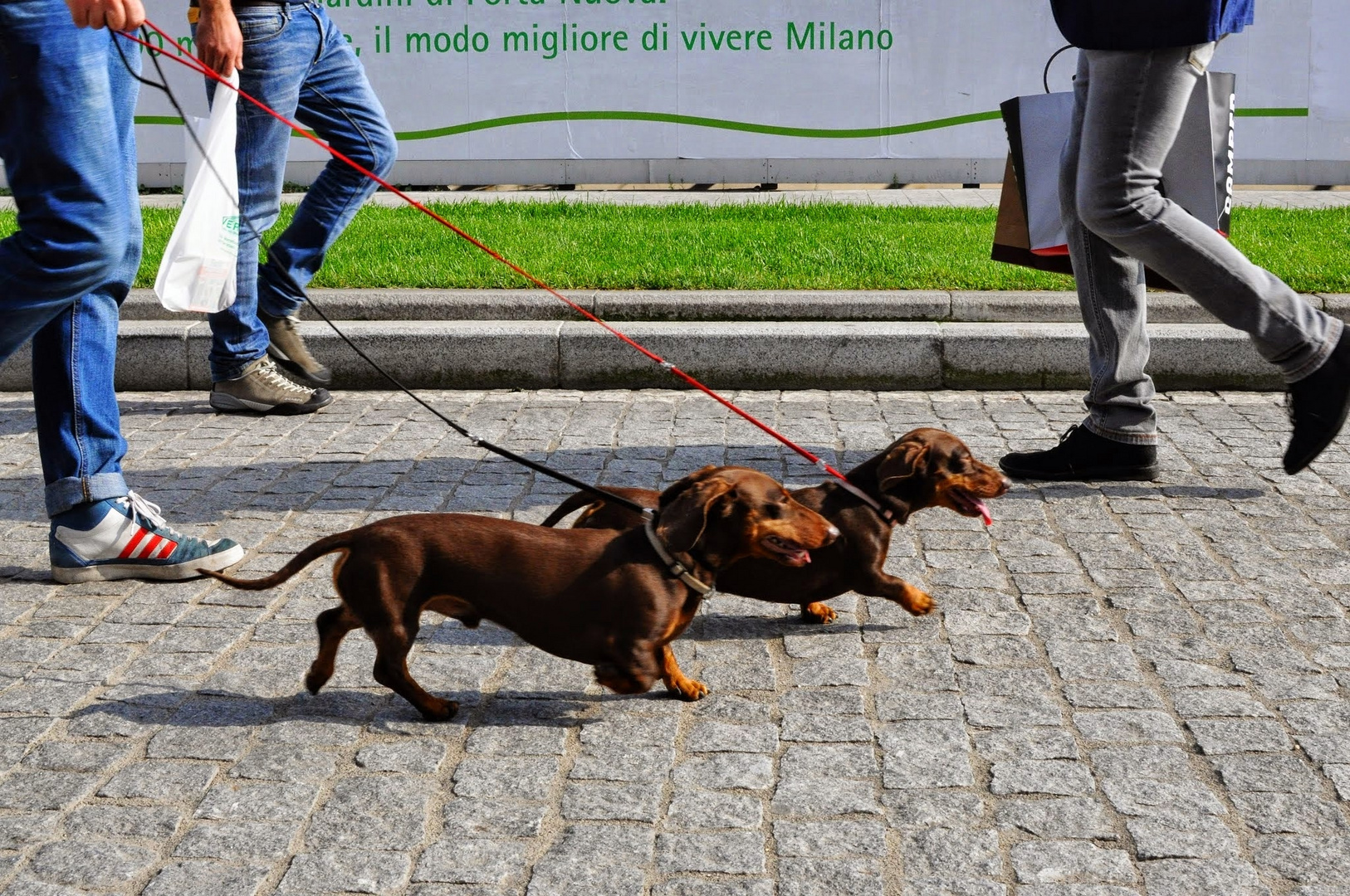 il miglior modo di vivere milano