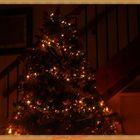 Il mio albero di Natale...