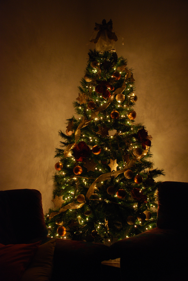 Il mio albero di Natale