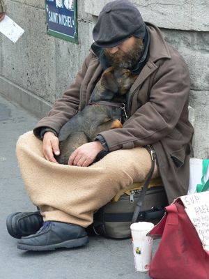 IL MIO AMICO MIGLIORE