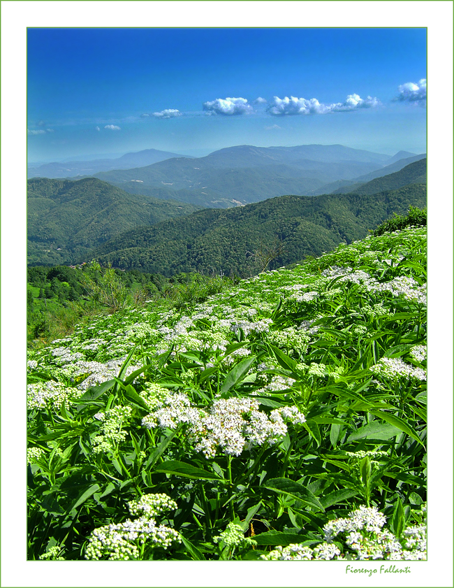 ...IL MIO APPENNINO PRIMAVERILE...