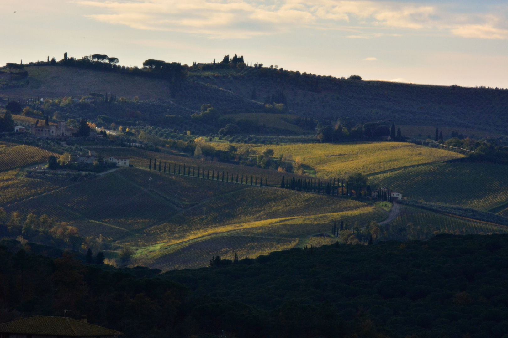 il mio chianti