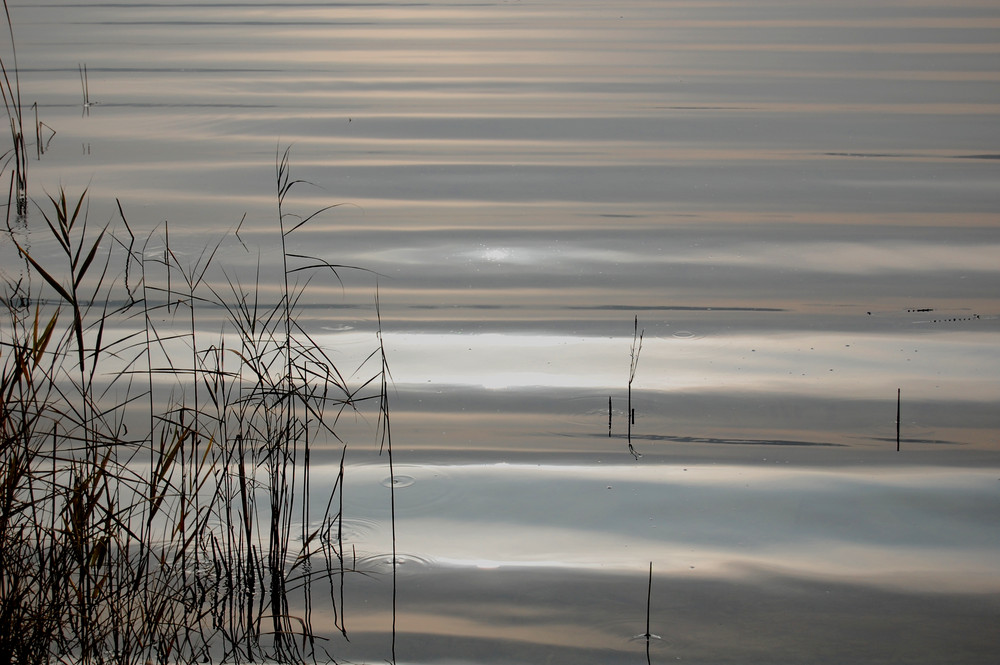 Il mio lago