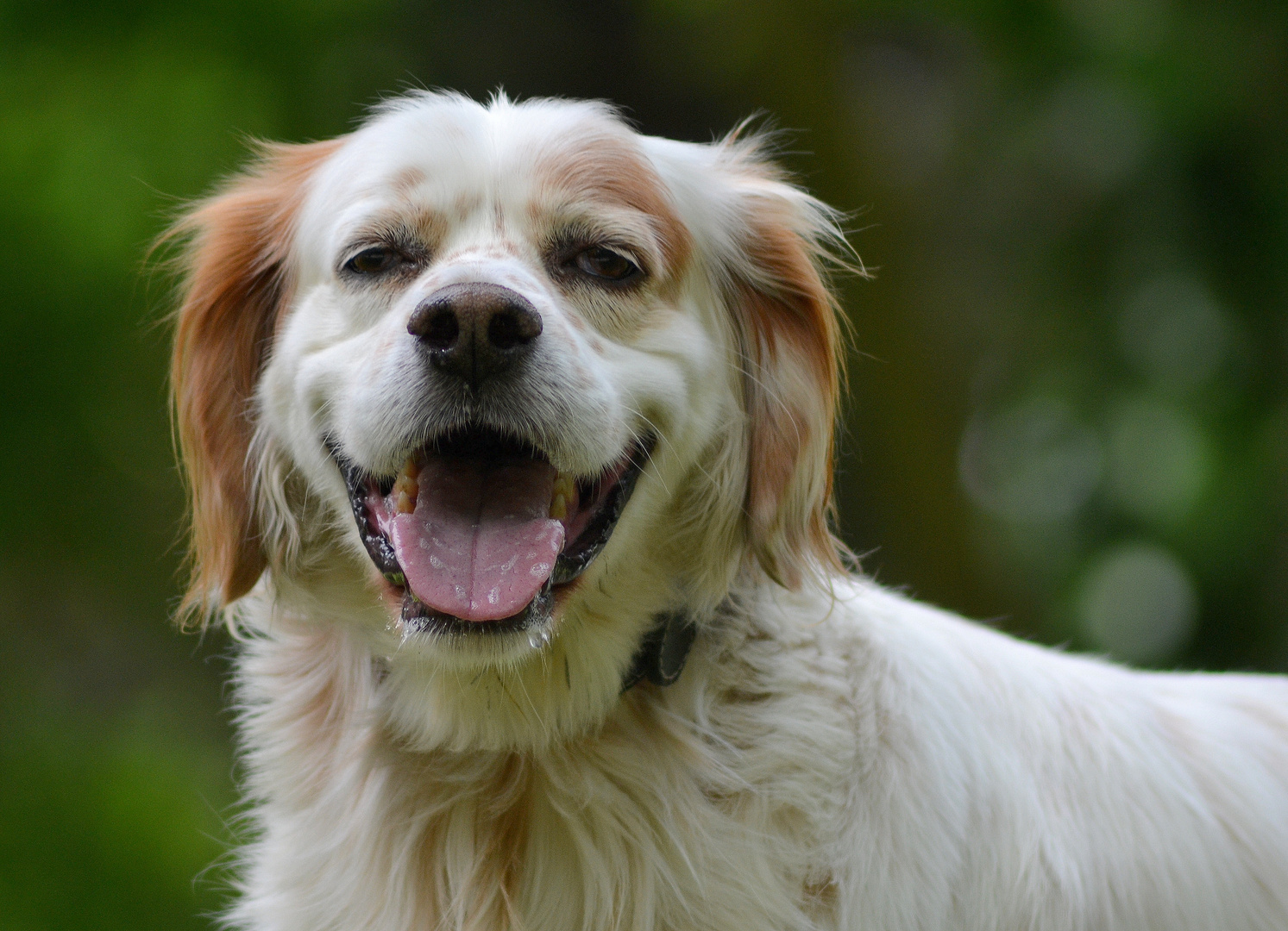 Il mio modello preferito :-)