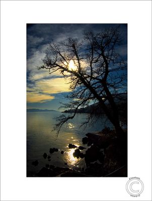 Il mio regalo di Natale