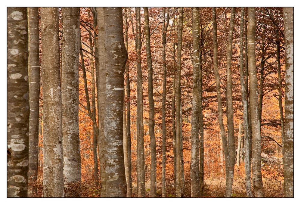 Il mio rifugio d'autunno