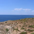 il mio salento