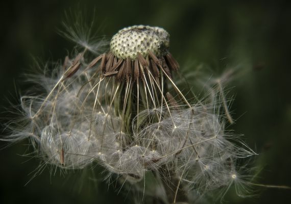 ..il momento del ...distacco..