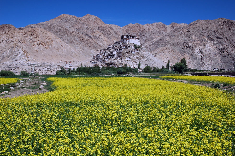 Il Monastero di Chemrey - Ladakh