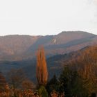 Il monte “Kandel” coperto da colori d’autunno - '8'