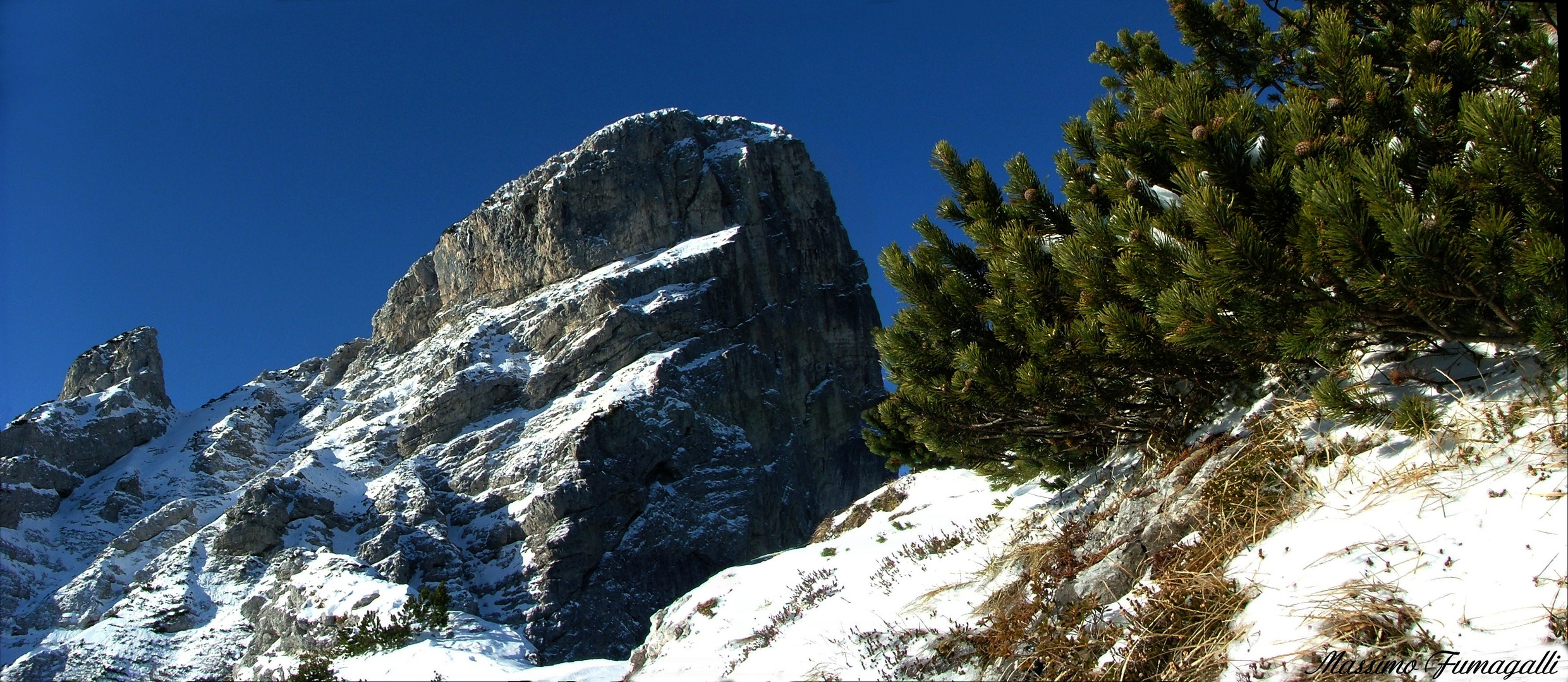 Il Monte Pizzocco da Forcella Intrigos