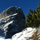 Il Monte Pizzocco da Forcella Intrigos