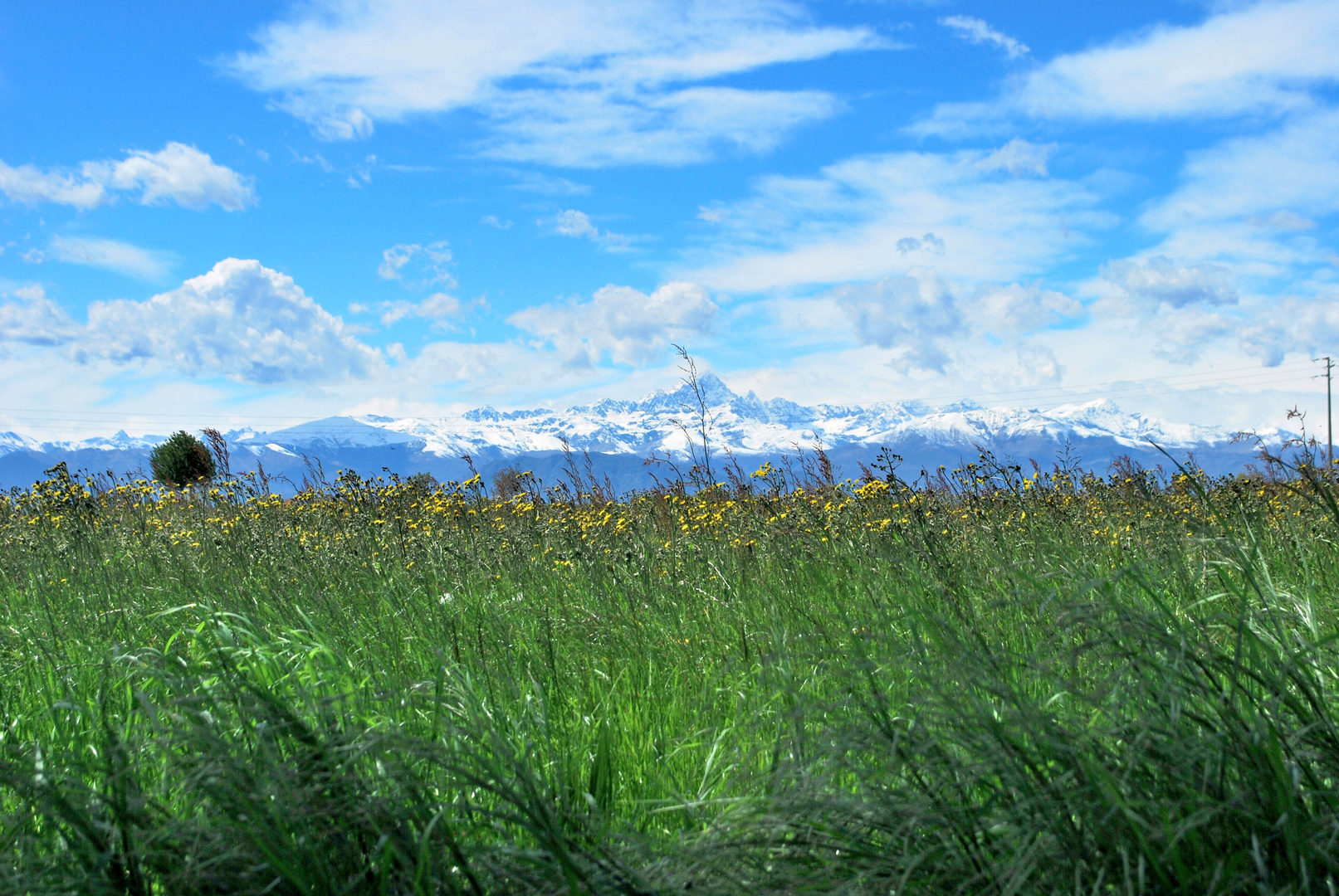 Il Monviso visto a quattro zaampe