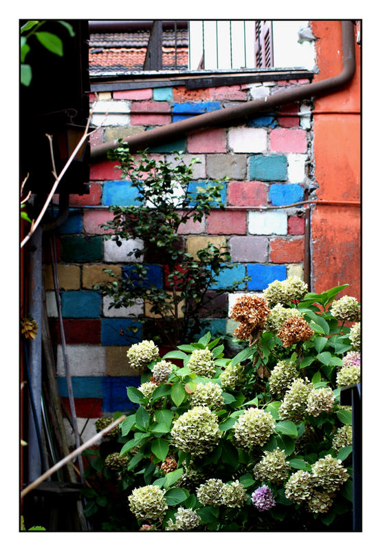 Il muro del giardino