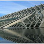 Il museo de las Cièncias Principe Felipe......Valencia