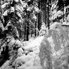 Il neige à Chamonix