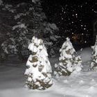 Il neige à la Baie Saint -Paul