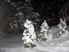 Il neige à la Baie Saint -Paul