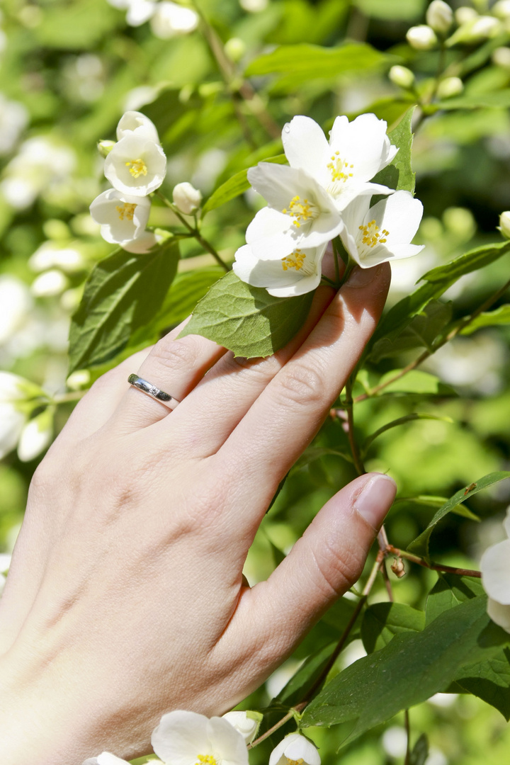 Il nostro amore nell'eterna bellezza della natura