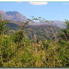 - Il nostro Appennino -