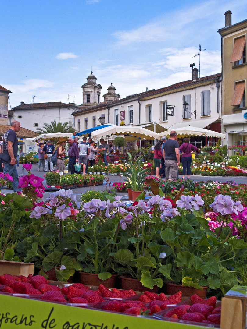 Il n’y a pas que des fleurs aux floralies de Nérac